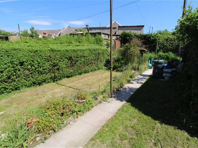 Picture 5